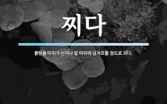 찌다 뜻: 흙탕물 따위가 논이나 밭 따위에 넘쳐흐를 정도로 괴다.
