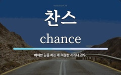 찬스 뜻: 어떠한 일을 하는 데 적절한 시기나 경우.