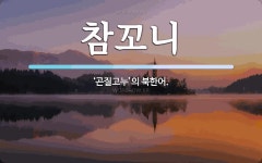 참꼬니 뜻: ‘곤질고누’의 북한어.