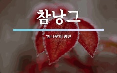 참낭그 뜻: ‘참나무’의 방언