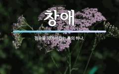 창애 뜻: 짐승을 꾀어서 잡는 틀의 하나.