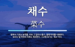 채수 뜻: 밭에서 기르는 농작물. 주로 그 잎이나 줄기, 열매 따위를 식용한다. 보리나 밀 따위의 곡