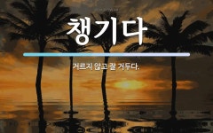 챙기다 뜻: 거르지 않고 잘 거두다.