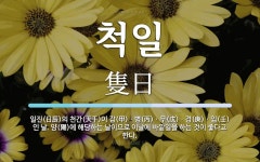 척일 뜻: 일진(日辰)의 천간(天干)이 갑(甲)ㆍ병(丙)ㆍ무(戊)ㆍ경(庚)ㆍ임(壬)인 날. 양(陽)에