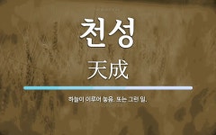 천성 뜻: 하늘이 이루어 놓음. 또는 그런 일.