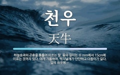천우 뜻: 하늘솟과의 곤충을 통틀어 이르는 말. 몸의 길이는 수 mm에서 15cm에 이르는 것까지 있