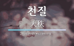천질 뜻: 하늘로부터 받는 복되고 영화로운 삶.