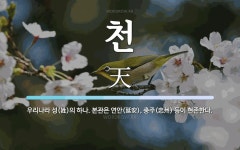 천 뜻: 우리나라 성(姓)의 하나. 본관은 연안(延安), 충주(忠州) 등이 현존한다.