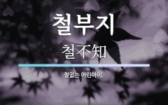 철부지 뜻: 철없는 어린아이.