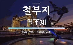 철부지 뜻: 철없어 보이는 어리석은 사람.