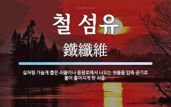 철 섬유 뜻: 실처럼 가늘게 뽑은 쇠줄이나 용광로에서 나오는 쇳물을 압축 공기로 불어 흩어지게 한 쇠줄.