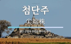 첨단주 뜻: 첨단 산업과 관련된 회사의 주식.