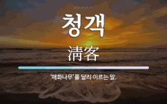 청객 뜻: ‘매화나무’를 달리 이르는 말.