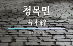 청목면 뜻: ‘청목’의 북한어.