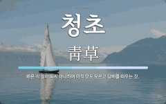 청초 뜻: 배운 지 얼마 되지 아니하여 아직 맛도 모르고 담배를 피우는 짓.
