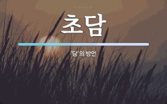 초담 뜻: ‘담’의 방언