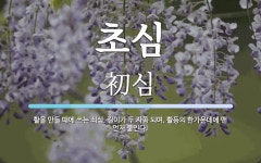 초심 뜻: 활을 만들 때에 쓰는 쇠심. 길이가 두 자쯤 되며, 활등의 한가운데에 맨 먼저 붙인다.