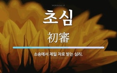 초심 뜻: 소송에서 제일 차로 받는 심리.
