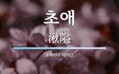 초애 뜻: ‘초애하다’의 어근.