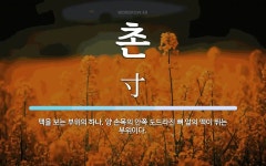 촌 뜻: 맥을 보는 부위의 하나. 양 손목의 안쪽 도드라진 뼈 앞의 맥이 뛰는 부위이다.