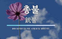 총불 뜻: 총에서 총구멍이 있는 부분. ⇒규범 표기는 ‘총부리’이다.