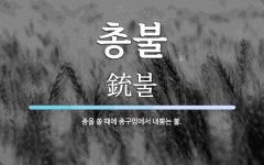 총불 뜻: 총을 쏠 때에 총구멍에서 내뿜는 불.