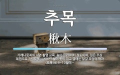 추목 뜻: 가래나뭇과의 낙엽 활엽 교목. 높이는 20미터 정도이며, 잎은 우상 복엽으로 7~15개이다
