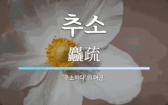 추소 뜻: ‘추소하다’의 어근.