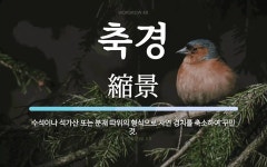 축경 뜻: 수석이나 석가산 또는 분재 따위의 형식으로 자연 경치를 축소하여 꾸민 것.