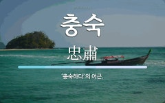 충숙 뜻: ‘충숙하다’의 어근.