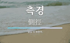 측경 뜻: ‘옆길’의 북한어.