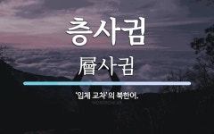 층사귐 뜻: ‘입체 교차’의 북한어.