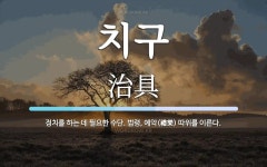 치구 뜻: 정치를 하는 데 필요한 수단. 법령, 예악(禮樂) 따위를 이른다.