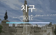 치구 뜻: 남녀의 생식기 언저리에 있는 불룩한 부분.