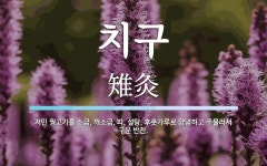 치구 뜻: 저민 꿩고기를 소금, 깨소금, 파, 설탕, 후춧가루로 양념하고 주물러서 구운 반찬.