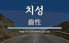 충남양봉산업 치성양봉원 - 17104 | 치성 뜻: 치아를 가지고 있거나 함유하고 있는 성질.