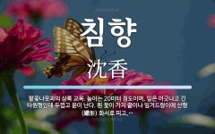 침향 뜻: 팥꽃나뭇과의 상록 교목. 높이는 20미터 정도이며, 잎은 어긋나고 긴 타원형인데 두껍고 윤