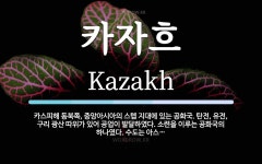 탄전, 유전, 구리 광산 따위가 카자흐 뜻: 카스피해 동북쪽, 중앙아시아의 스텝 지대에 있는 공화국. 탄전, 유전, 구리 광산 따위가 