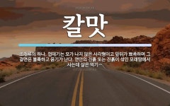 칼맛 뜻: 조개류의 하나. 껍데기는 모가 나지 않은 사각형이고 앞뒤가 뾰족하며 그 겉면은 불룩하고 윤
