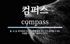 컴퍼스 뜻: 동, 서, 남, 북 따위의 지리적 방향을 알려 주는 기구. 회전할 수 있는 자성을 가진 침