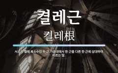 켤레근 뜻: 서로가 켤레 복소수인 두 근 가운데에서 한 근을 다른 한 근에 상대하여 이르는 말.