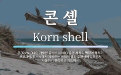 콘 셸 뜻: 콘(Korn, D.)이 개발한 유닉스(UNIX) 운영 체제의 명령어 해석기 프로그램. 유닉