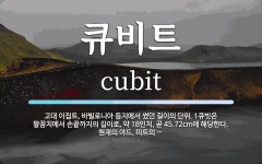 큐비트 뜻: 고대 이집트, 바빌로니아 등지에서 썼던 길이의 단위. 1큐빗은 팔꿈치에서 손끝까지의 길이로