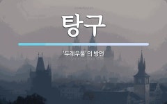 탕구 뜻: ‘두레우물’의 방언