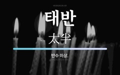 태반 뜻·의미 | 국어 사전 | 워드로