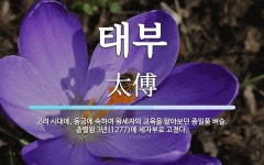 태부 뜻: 고려 시대에, 동궁에 속하여 왕세자의 교육을 맡아보던 종일품 벼슬. 충렬왕 3년(1277)