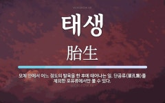 태생 뜻: 모체 안에서 어느 정도의 발육을 한 후에 태어나는 일. 단공류(單孔類)를 제외한 포유류에서