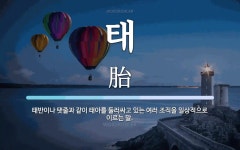 태 뜻: 태반이나 탯줄과 같이 태아를 둘러싸고 있는 여러 조직을 일상적으로 이르는 말.
