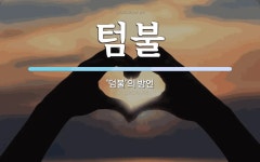 텀불 뜻: ‘덤불’의 방언