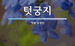 텃궁지 뜻: ‘텃밭’의 방언